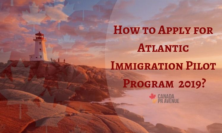 Định cư AIP Atlantic Immigration Pilot - Phần 3- Đơn xin nhập cư và hỗ trợ sau khi đến
