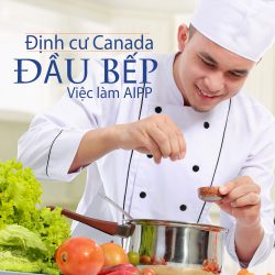 Định cư Canada chương trình AIPP: Việc làm Đầu bếp
