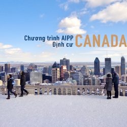 Cập nhật danh sách việc làm AIPP định cư Canada đến tháng 7/2019
