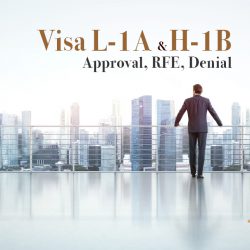 Cập nhật tỷ lệ duyệt, RFE, từ chối mới nhất của visa doanh nhân L-1A và H-1B