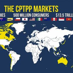 CPTPP – Bước 3 – Đảm bảo sản phẩm đáp ứng quy định về nguồn gốc