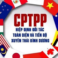 CPTPP – Bước 1 - Xác định & phân loại sản phẩm