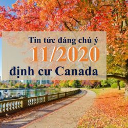 Cập nhật tin tức định cư Canada đáng chú ý tháng 11/2020