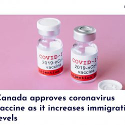 Canada phê duyệt vaccine Coronavirus, sẽ có 249.000 liều đến cuối năm 2020