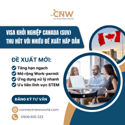 Visa Khởi Nghiệp Canada (SUV) ngày càng thu hút với nhiều đề xuất hấp dẫn