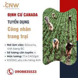 [HOT] CÔNG VIỆC CANADA KHÔNG CẦN TIẾNG ANH VÀ BẰNG CẤP