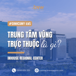 Trung tam Vung Truc thuoc la gi