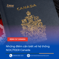 he thong Noc Teer Canada