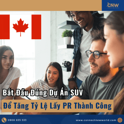 Cách Chọn Dự Án Startup Visa Canada Để Tăng Tỷ Lệ Lấy PR Thành Công